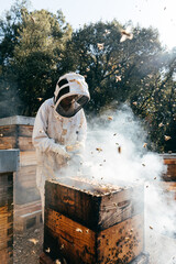 Beekeeper Tending to Hives in a Sunny Apiary During a Warm Afternoon