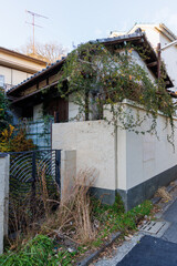 弦（つる）に飲み込まれた古い空き家