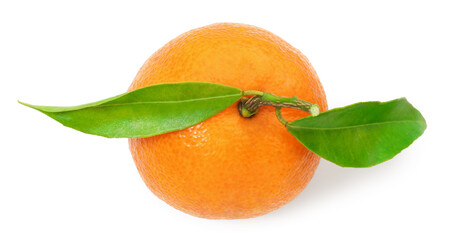 One fresh tangerine with green leaves isolated on white, top view. Citrus fruit