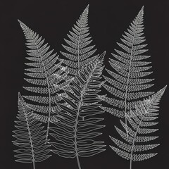 Three Fern Leaves on Black Background.