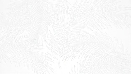 White Empty Space Blank Background.