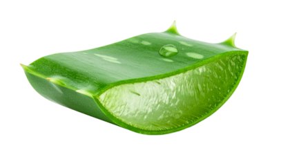 slice piece of aloe vera isolated on white background