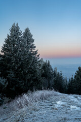 landscape of the rhinevalley in Vorarlberg, Austria, on a clear, frosty morning in blue hour before sunrise seen from a summit with some ice covered frosty trees