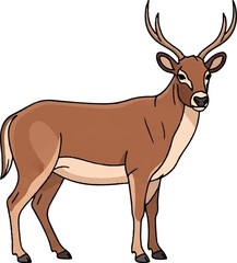Obraz premium A cartoon male deer with brown fur and antlers stands facing slightly right on a white background