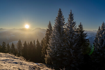 snow and ice covered trees in winter towards sunrise above the summits of Bregenzerwald in Vorarlberg Austria on a clear frosty morning