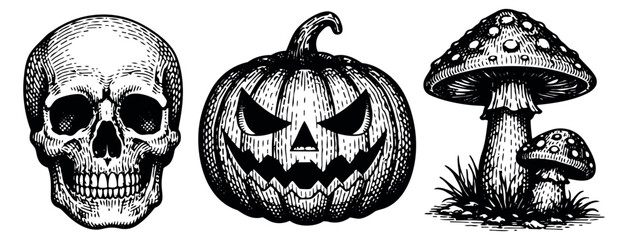 Fototapeta premium Vintage hand drawn line art set featuring a skull, jack-o'-lantern, and mushrooms for Halloween