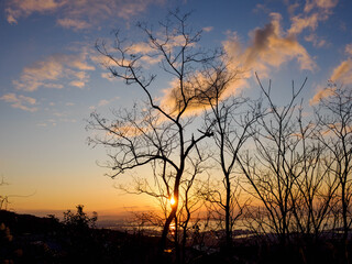 神戸渦森台展望公演からの夜明け