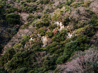 六甲山への登山道、アイスロードからの眺め