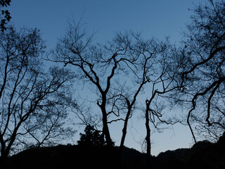 六甲山への登山道、アイスロードからの眺め