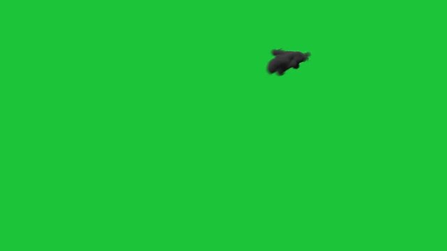 Black smoke ink cloud animation on green screen background, swirling dark fog plume for cinematic visual effects