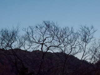 六甲山への登山道、アイスロードからの眺め