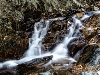 Fototapeta premium 六甲山の登山道、アイスロードの渓流と川の流れ