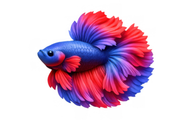 Vibrant betta fish icon for aquatic designs and exotic decor concepts