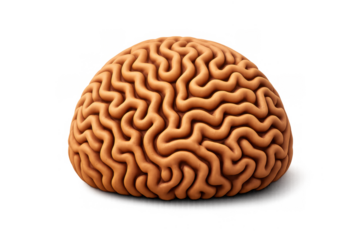 Abstract brain coral icon for design and decoration