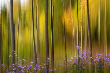 Abstract forest scene with intentional camera movement creating vertical streaks of green and golden foliage, complemented by a vibrant foreground of purple wildflowers, evoking a sense of tranquil mo