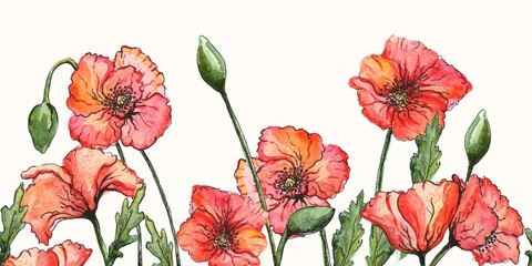 Seamless border. Watercolor wildflower set - red poppies, buds, and leaves. Suitable for wedding invitations, birthday invitations, wallpaper, fashion, background, textiles.