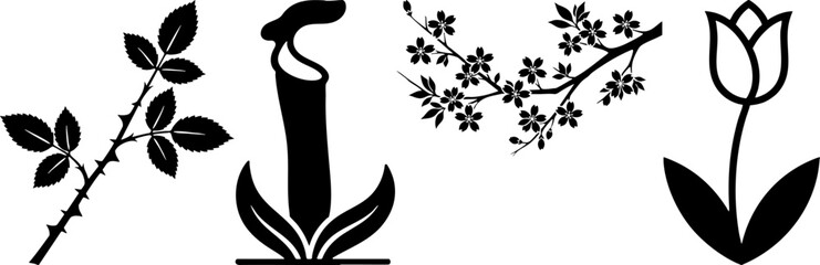 Obraz premium Set of vector floral silhouettes: rose, pitcher plant, tulip, blossom.