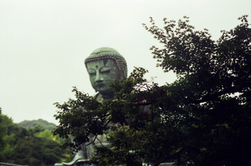 Buddha statue