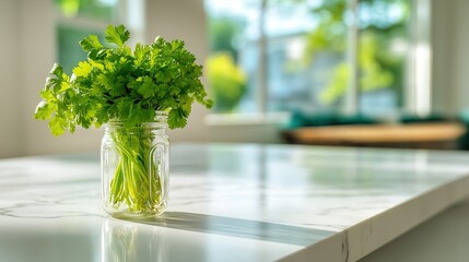 Bouquet of fresh green coriander in mason jar on white marble kitchen counter with blurred background and natural lighting for cozy home feel