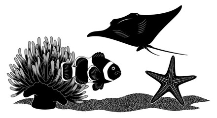 Monochromatic underwater scene showcasing clownfish manta ray anemone and starfish © Alis