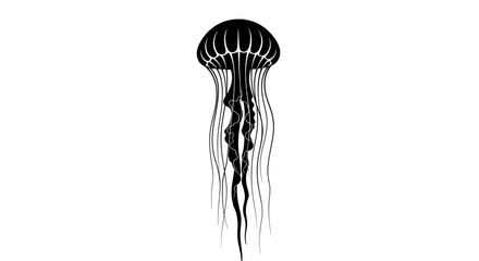 Elegant black and white jellyfish illustration with flowing tentacles on a clean background © Alis
