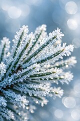 Frozen Foliage Close-up in Winter Wonderland Scene