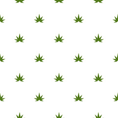 Seamless pattern with realistic cannabis leaf isolated on white background