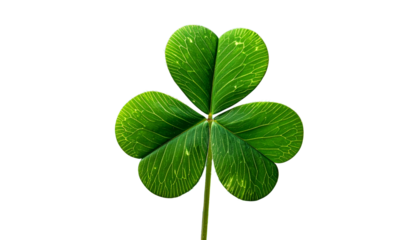 Close-up of a three-leaf clover, showcasing vibrant green foliage isolated on solid background in Png