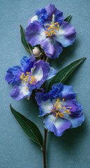 Close-up of vibrant blue flowers (1)