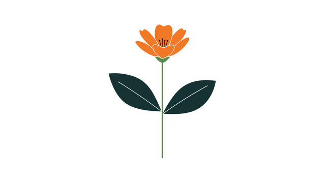 A simple and elegant minimalist illustration of a single orange flower with a long stem and two dark green leaves on a white background.