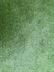 Close-up of lush green carpet grass texture suitable for background or design use.