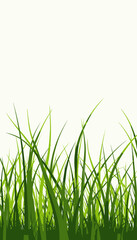 Vibrant Green Grass Blades Reaching Towards A Bright Sky in Refreshing Minimalist Nature-Themed Portrait Capturing The Essence of Serenity and Growth