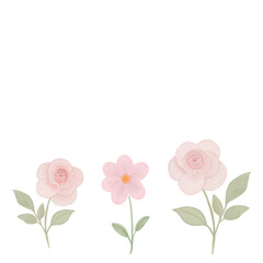 Hand drawn watercolor roses