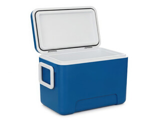 Blue and white insulated cooler