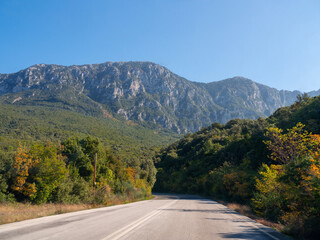 Fototapeta premium A road in the mountains of Epirus in Greece among the autumn forest