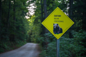 Bear warning in the woods signage or camping danger sign © Bokicbo