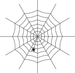 Obraz premium Spider Web with Spider Illustration. Cobweb Radial Web Design, Symmetrical Spider Web Pattern. Geometry Design