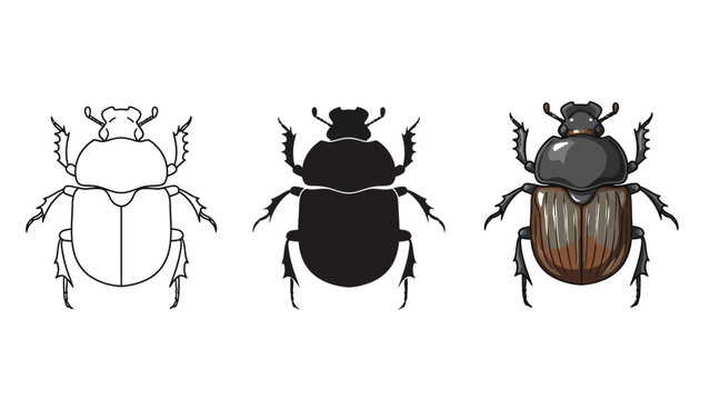 Set of three dung beetle illustrations outline, silhouette and colored drawing