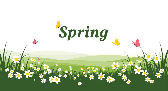 A vibrant illustration celebrating spring with white daisy flowers, lush green grass, rolling hills, and colorful butterflies under the word 'Spring'.