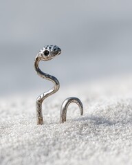 Small silver snake in sand