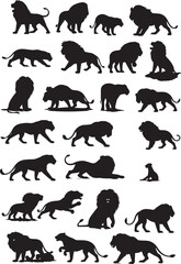 Fototapeta premium Vector illustration of a wild animal lion.