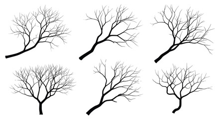 Obraz premium Collection of various leafless tree branch silhouettes in black, isolated on a white background for nature design.