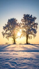 Winter Solstice - Trees Silhouetted Against the Rising Sun in a Snowy Landscape.