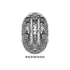 Ancient redwood forest illustration with towering trees and blooming flowers in vintage woodcut engraving style.