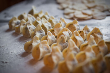 Homemade dumplings neatly arranged on a floured surface in a cozy kitchen, prepared for Christmas