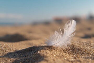 A single, delicate white feather rests gently on the glistening, golden sand, bathed in the soft, warm light of a low sun. The shallow depth of field beautifully isolates the feather, highlighting its