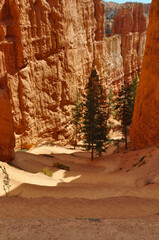 A beautiful view of Bryce Canyon National Park
