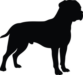 Large male Bullmastiff dog breed silhouette standing in a majestic profile pose