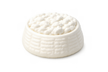 Ricotta cheese icon illustration for dairy product design and culinary applications