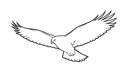 Obraz premium Bird in flight with outstretched wings